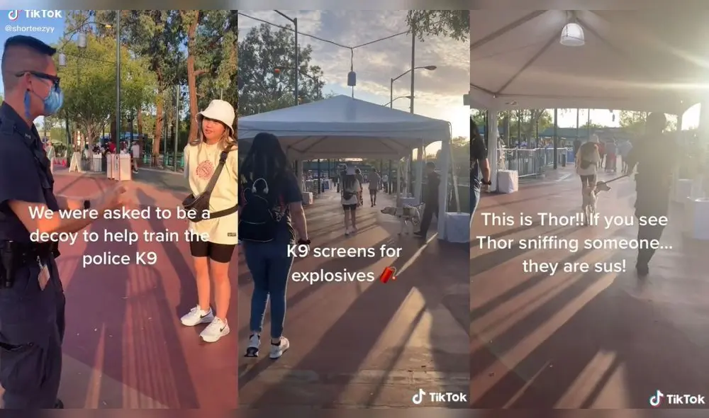 “Ahora sabes cómo Disneyland te mantiene a salvo”, sostuvo la chica. Foto: captura de TikTok