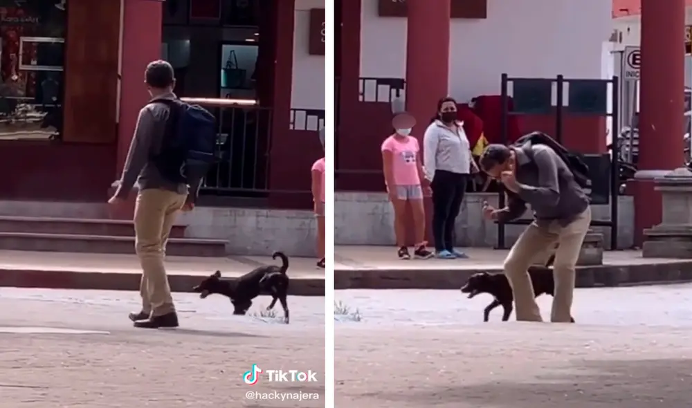 El tierno perrito conmovió a miles por los curiosos movimientos que realizaba junto a su dueño. Foto: captura de TikTok El tierno perrito conmovió a miles por los curiosos movimientos que realizaba junto a su dueño. Foto: captura de TikTok