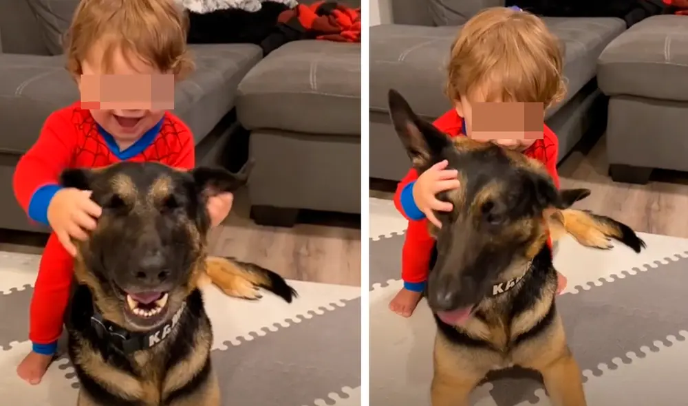 El video enterneció a los usuarios de las redes sociales. Foto: captura de TikTok El video enterneció a los usuarios de las redes sociales. Foto: captura de TikTok