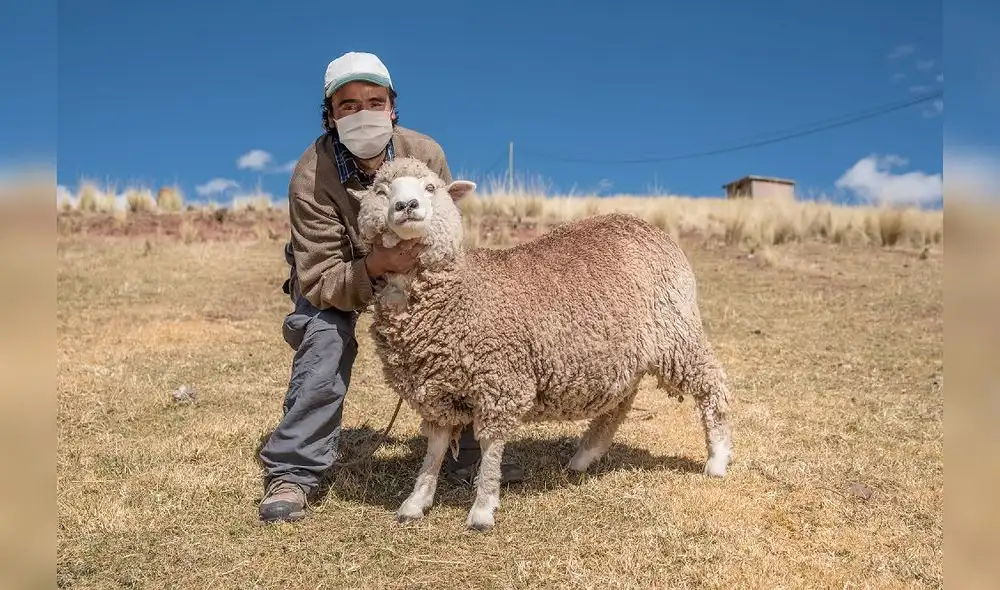 Puno fue la región que lidera los desembolsos. Foto: Agrobanco.