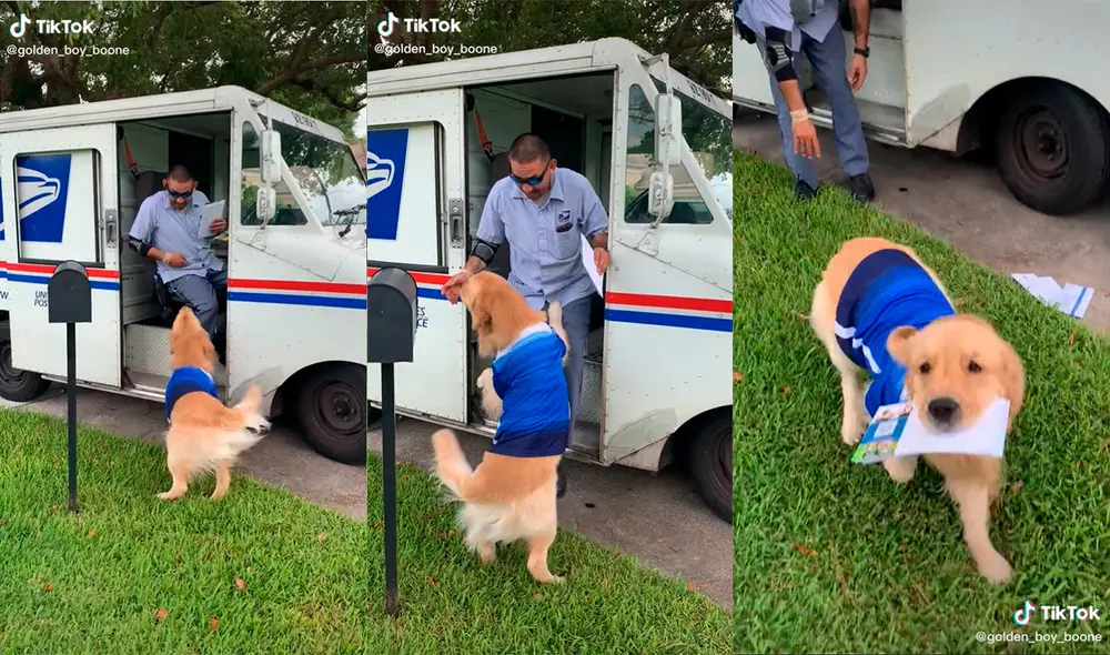 El trabajador postal no pudo evitar emocionarse con la enternecedora conducta del can. Foto: captura de TikTok El trabajador postal no pudo evitar emocionarse con la enternecedora conducta del can. Foto: captura de TikTok