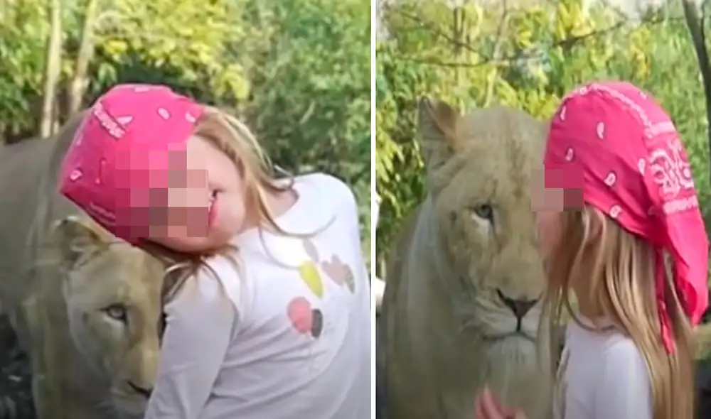 El video viral ha sido compartido en el canal Oxart. Foto: captura de YouTube El video viral ha sido compartido en el canal Oxart. Foto: captura de YouTube