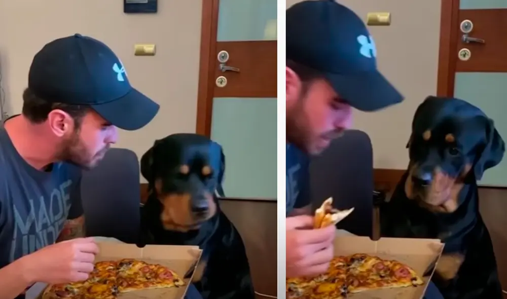 El video viral ha sido compartido en la página Rottweiler Life. Foto: captura de Facebook