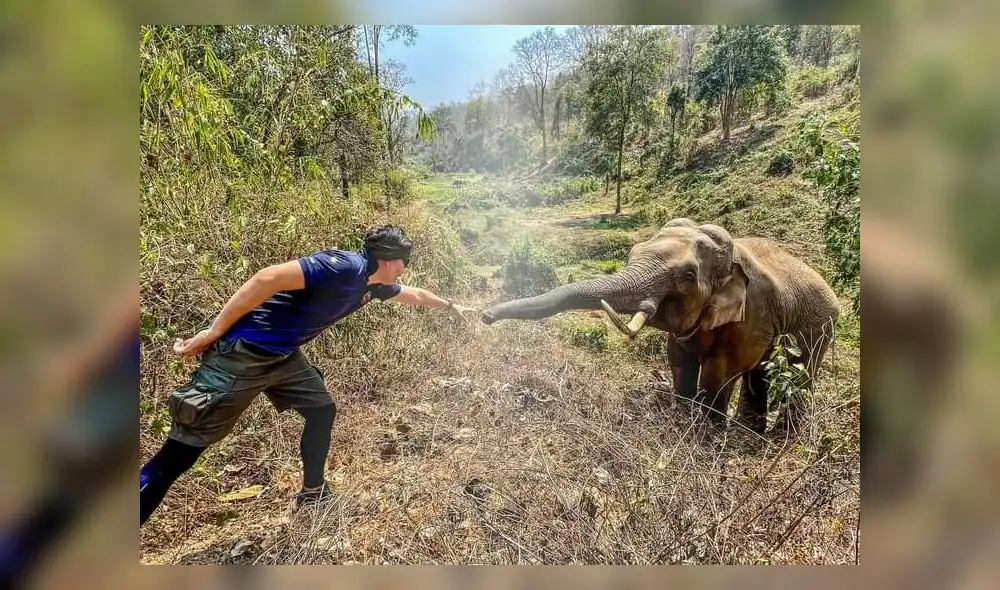 Pattarapol le hizo una seña al elefante, quien respondió acercando su trompa hacia su mano. Foto: captura de Facebook Pattarapol le hizo una seña al elefante, quien respondió acercando su trompa hacia su mano. Foto: captura de Facebook