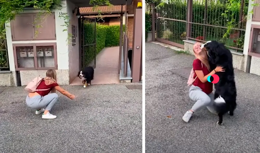 El video viral ha causado gran sensación en las redes sociales. Foto: captura de TikTok