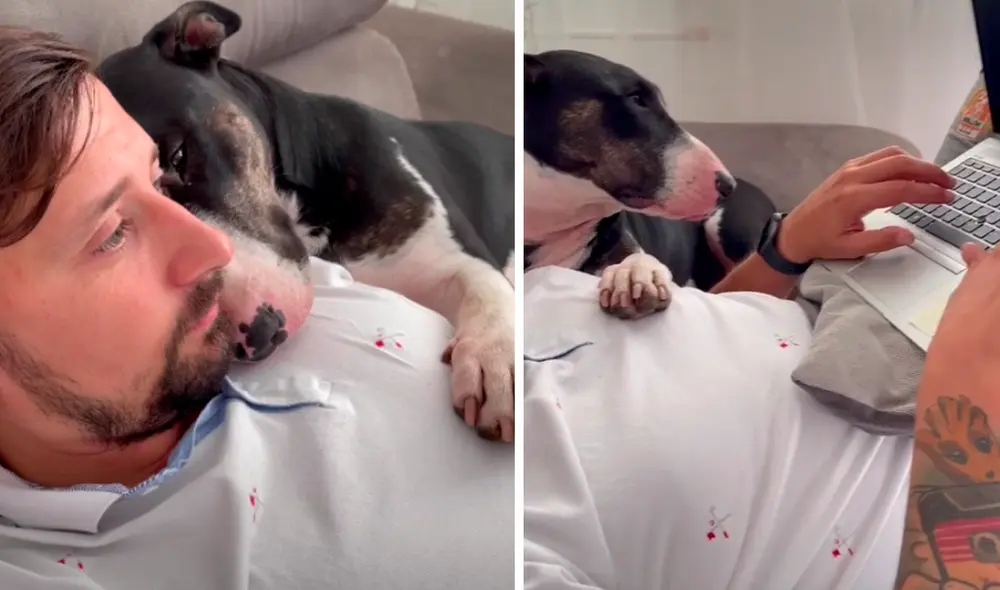 El video es tendencia en las redes sociales. Foto: captura de TikTok