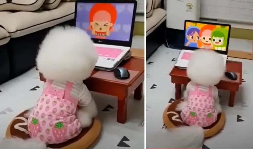 El video viral ha causado gran sensación en las redes sociales. Foto: captura de Facebook