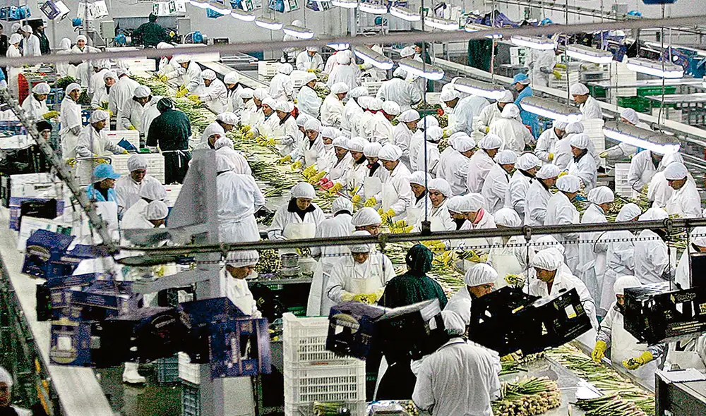 Expectativa. El discurso del presidente Pedro Castillo despejará dudas sobre sus políticas destinadas a la recuperación de la economía golpeada por la COVID-19. Foto: difusión Expectativa. El discurso del presidente Pedro Castillo despejará dudas sobre sus políticas destinadas a la recuperación de la economía golpeada por la COVID-19. Foto: difusión