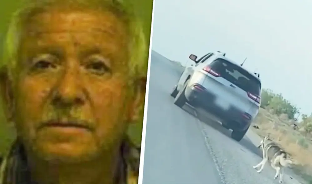 La Policía en EE. UU. capturó a un hombre implicado en el abandono de un perro en la carretera de El Paso, en Texas. Foto: composición/difusión