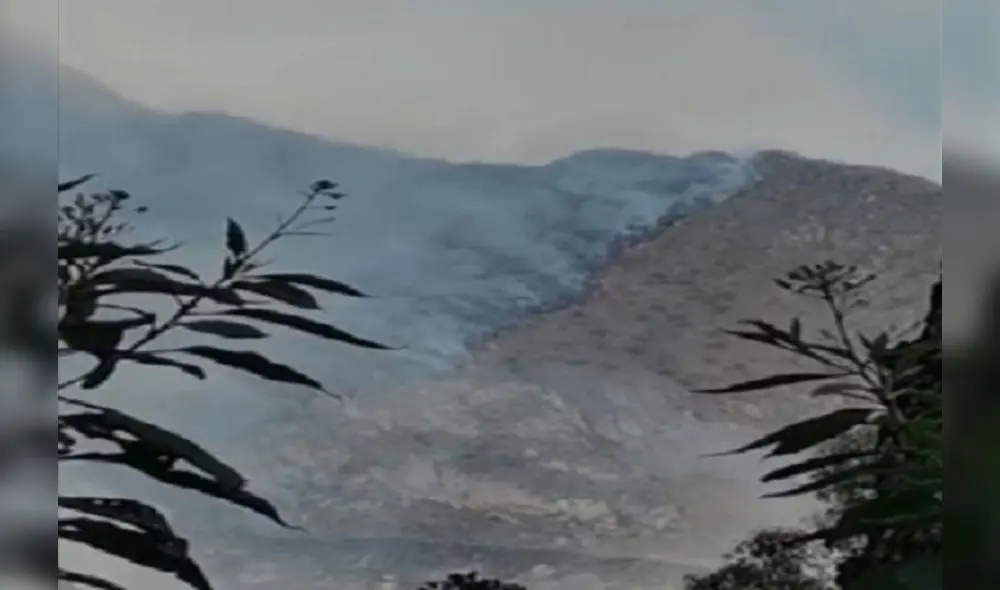 Incendio provocó serios daños en la cobertura natural. Foto: Andina Incendio provocó serios daños en la cobertura natural. Foto: Andina