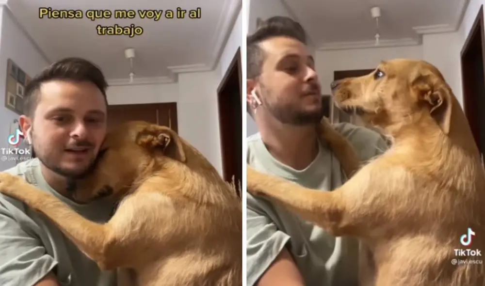 Un joven grabó la conmovedora reacción de su mascota para evitar que salga de su casa; sin embargo, todo se trató de un mal entendido. Foto: captura de Facebook