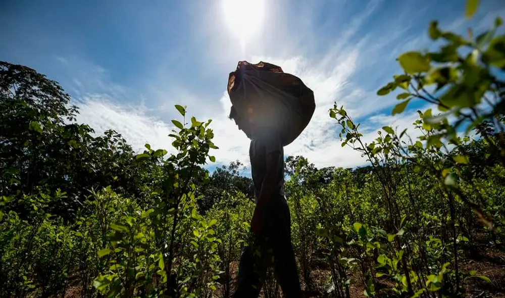 El narcotráfico “es una responsabilidad tanto de los países productores como consumidores”, sostuvo el presidente colombiano. Foto: AFP