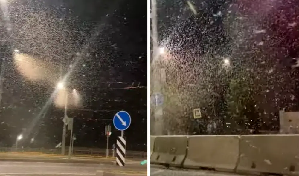 Las moscas de mayo pululaban por el cielo e intentaban aparearse. Foto: captura de YouTube Las moscas de mayo pululaban por el cielo e intentaban aparearse. Foto: captura de YouTube
