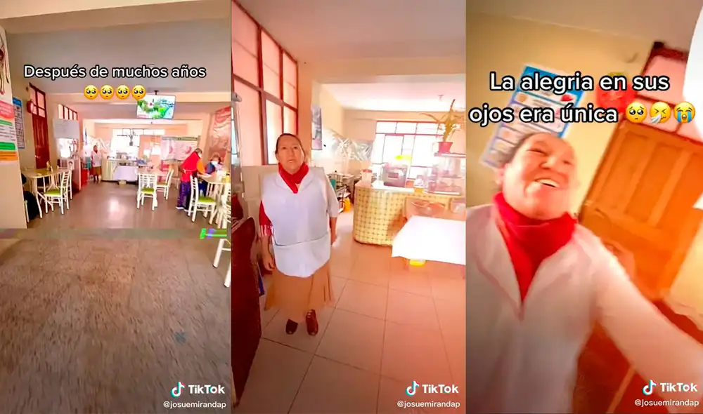 El enternecedor reencuentro logró cautivar a miles de cibernautas. Foto: captura de TikTok