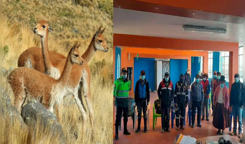 Integrantes de comité serán capacitados para cumplir labor. Foto: Serfor