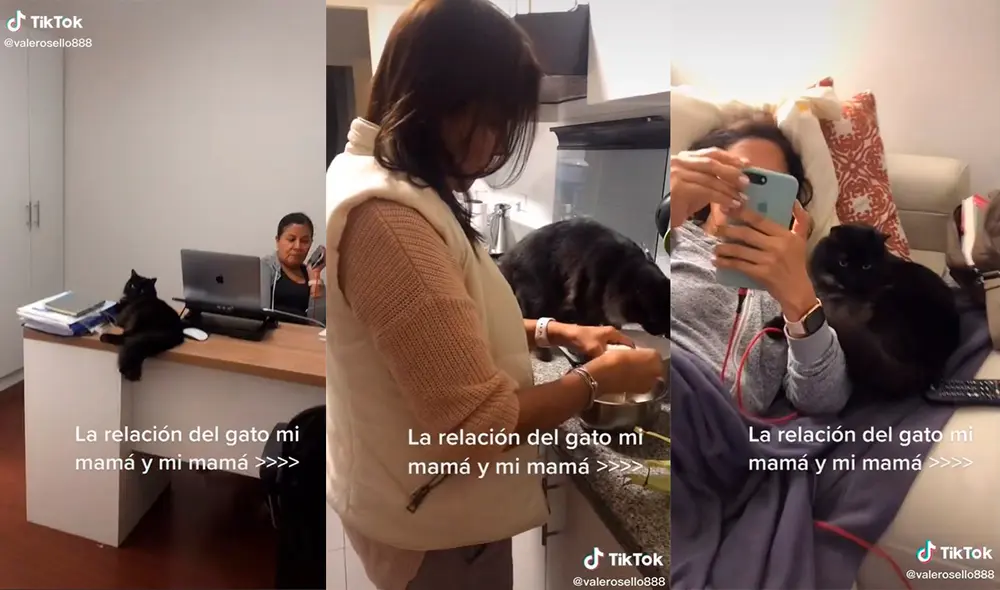 La dupla protagonizó un conmovedor video que cautivó a miles de usuarios en las redes sociales. Foto: captura de TikTok