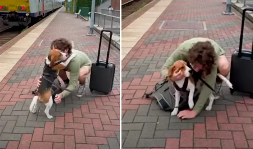 El video viral ha sido compartido en la página Rumble Viral. Foto: captura de Facebook