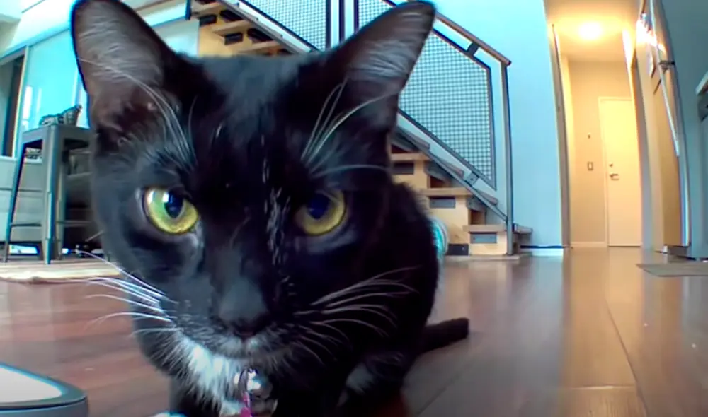 El video ha sido compartido en la página ninerfife. Foto: captura de Facebook El video ha sido compartido en la página ninerfife. Foto: captura de Facebook