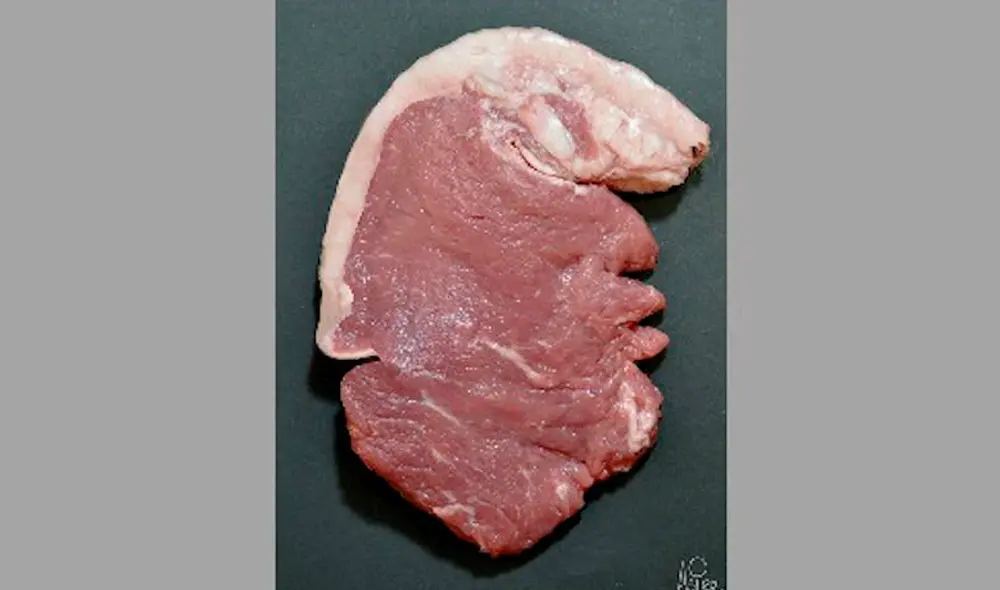 Imagen de la cara de Donald Trump ganadora al primer premio en caricatura personal del concurso World Humor Awards. Foto: Asier Sanz / EFE