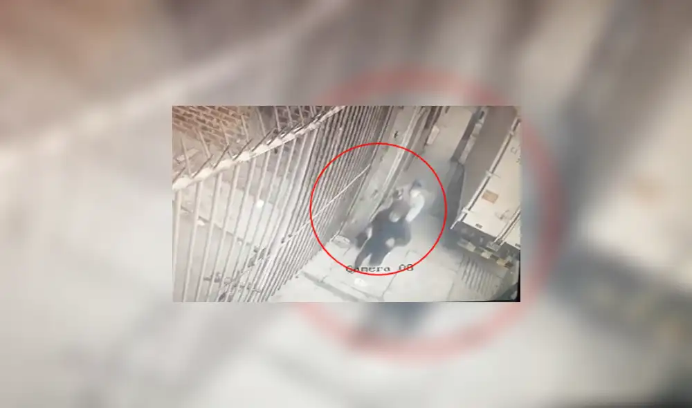 Ladrones fueron captados por cámara de seguridad. Foto: cortesía de la familia