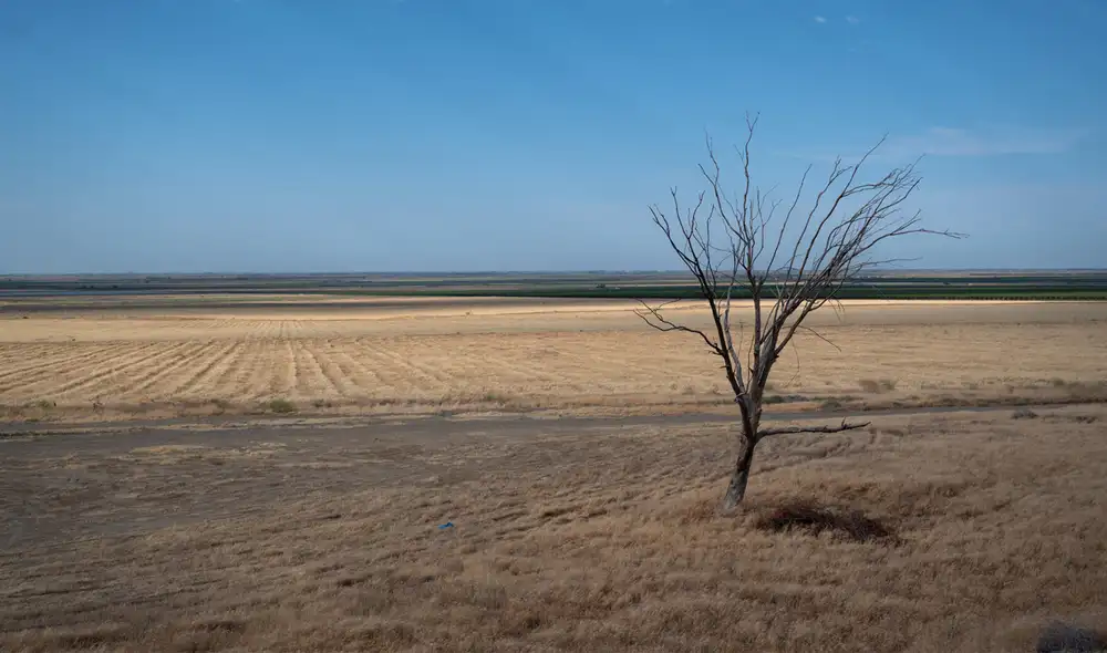 Sector agrícola de California, con un valor de 50.000 millones de dólares, suministra dos terceras partes de las frutas frescas y frutos secos, y más de una tercera parte de las verduras de todo EE. UU. Foto: New York Times Sector agrícola de California, con un valor de 50.000 millones de dólares, suministra dos terceras partes de las frutas frescas y frutos secos, y más de una tercera parte de las verduras de todo EE. UU. Foto: New York Times