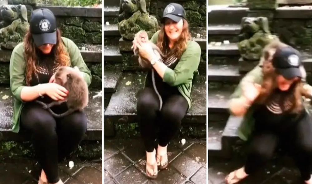 La respuesta de la madre generó un sin número de reacciones, ya que la turista incomodó a la cría de primate. Foto: captura de TikTok