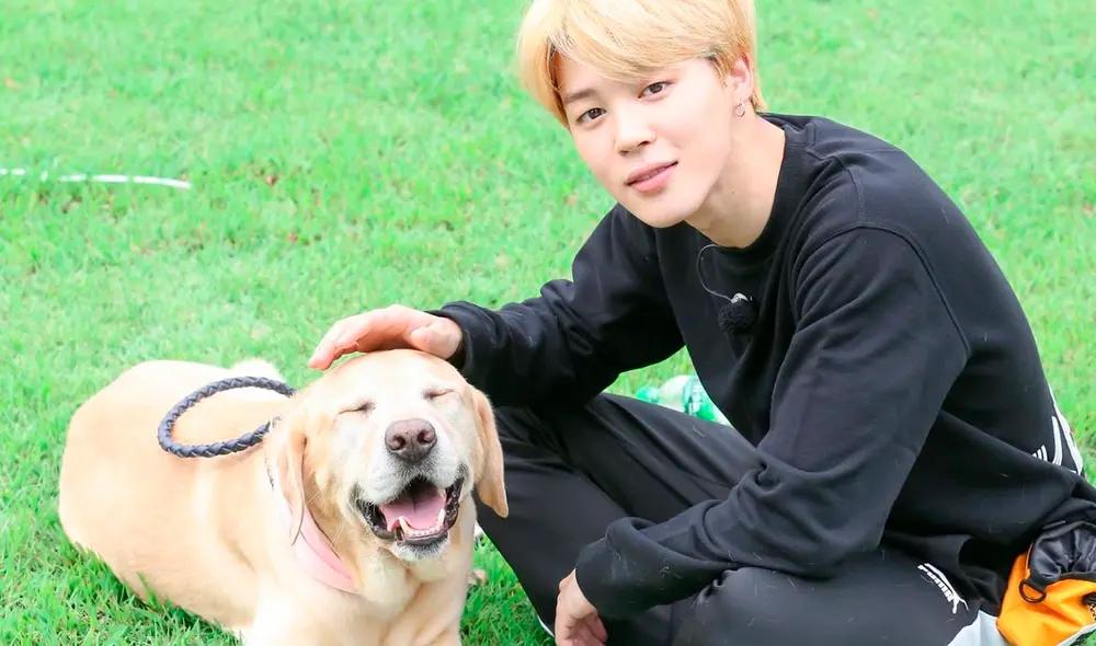 Desde que falleció su perro hace cinco años, Jimin no ha vuelto a tener mascota oficial. Foto: referencial/BIGHIT