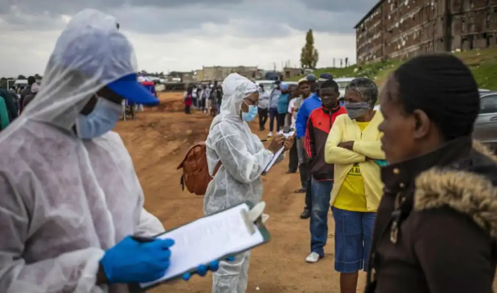 El virus de Maburgo es una enfermedad rara y altamente infecciosa cuyo vector es el murciélago frugívoro. Foto: EFE