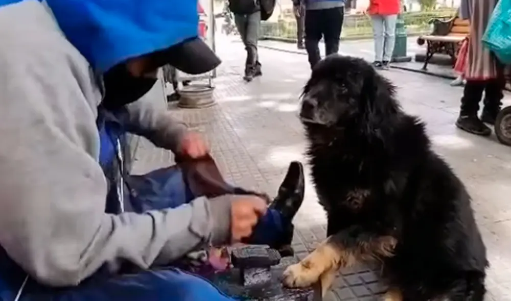 Un hombre atendió a un perrito que se colocó a su lado para pedirle ayuda. Lo aseó con sus instrumentos de trabajo. Foto: captura de YouTube Un hombre atendió a un perrito que se colocó a su lado para pedirle ayuda. Lo aseó con sus instrumentos de trabajo. Foto: captura de YouTube