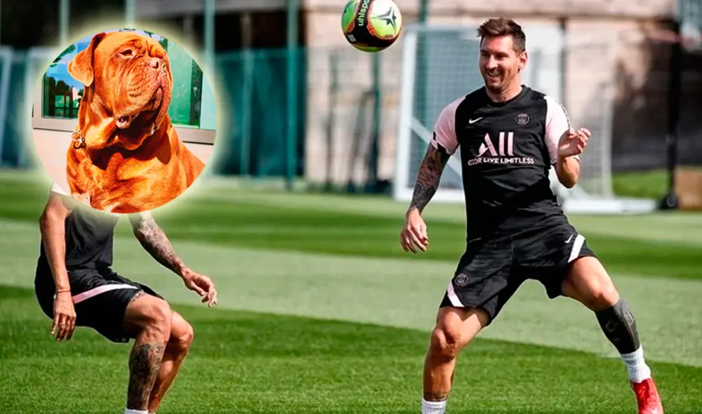 Lionel Messi junto a su perro 'Hulk', mascota que le obsequió su esposa Antonella. Foto: PSG