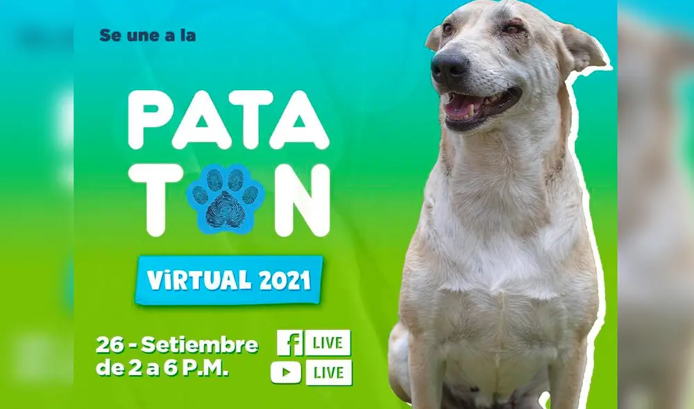 El evento, que ayuda a perros y gatos rescatados, se desarrollará de forma virtual por la pandemia del nuevo coronavirus. Foto: Facebook Patatón