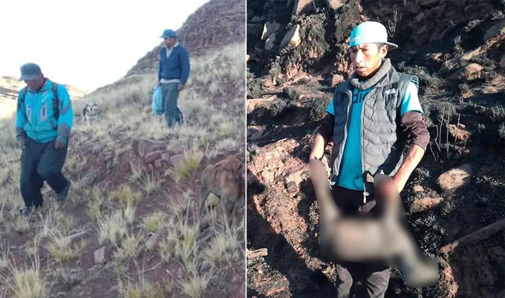 Pobladores locales tuvieron que unir esfuerzos para apagar el siniestro antes que se extienda más. Foto: Municipalidad de Zepita