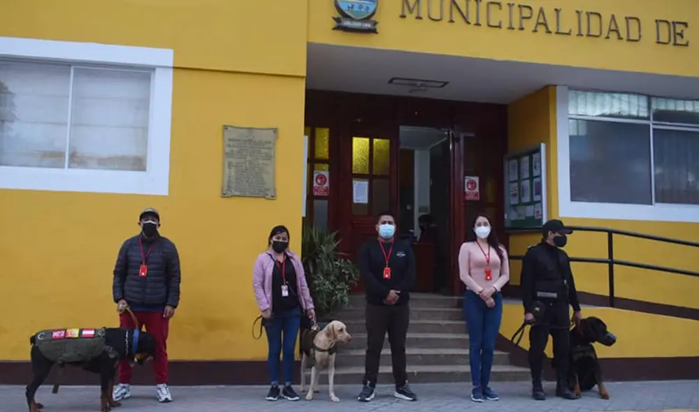 Para ayudar a los animales que sufren de maltratos o son abandonados, la Municipalidad de Lurín lanzó un programa para darles una mejor calidad de vida. Foto: Programa TRAC/ Facebook