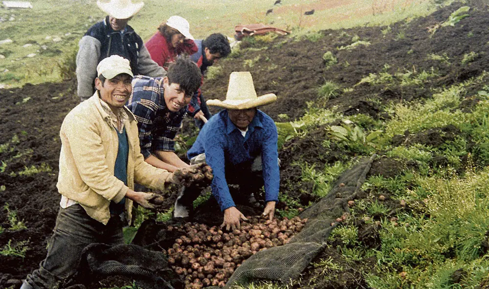 Agenda agraria. El titular del Midagri también ha propuesto que el presupuesto del sector se eleve para el año 2022. Foto: difusión Agenda agraria. El titular del Midagri también ha propuesto que el presupuesto del sector se eleve para el año 2022. Foto: difusión