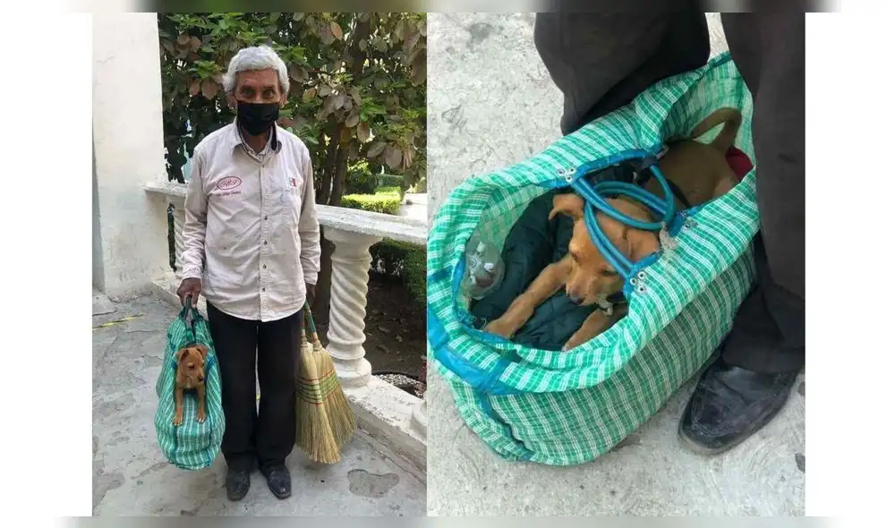 El anciano y su mascota son muy populares en México. Foto: captura de Facebook