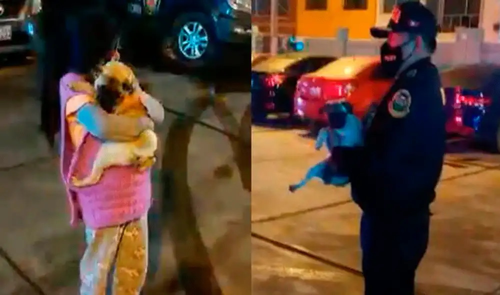 Familia se encuentra feliz por la devolución de su mascota. Foto: capturad de Twitter Familia se encuentra feliz por la devolución de su mascota. Foto: capturad de Twitter