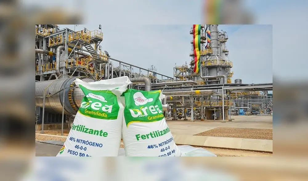 Precio de los fertilizantes subieron en casi 100%, informó el titular del Midagri. Precio de los fertilizantes subieron en casi 100%, informó el titular del Midagri.