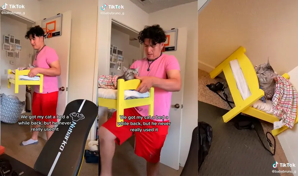 El minino provocó las risas de sus dueños por su peculiar actuación. Foto: captura de TikTok