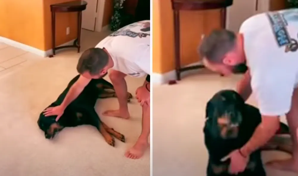 El video viral ha sido compartido en la página BVIRAL. Foto: captura de Facebook El video viral ha sido compartido en la página BVIRAL. Foto: captura de Facebook