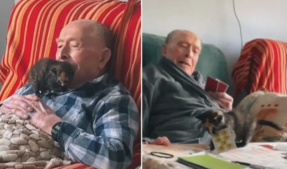 Miles de usuarios quedaron conmovidos al conocer esta tierna historia. Foto: captura de TikTok