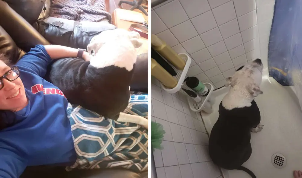 Una mujer se emocionó con la noticia de que esperaba a su primer hijo; sin embargo, no imaginó que su perrita iba a protegerla las 24 horas del día. Foto: Brittany Johnson/ Facebook