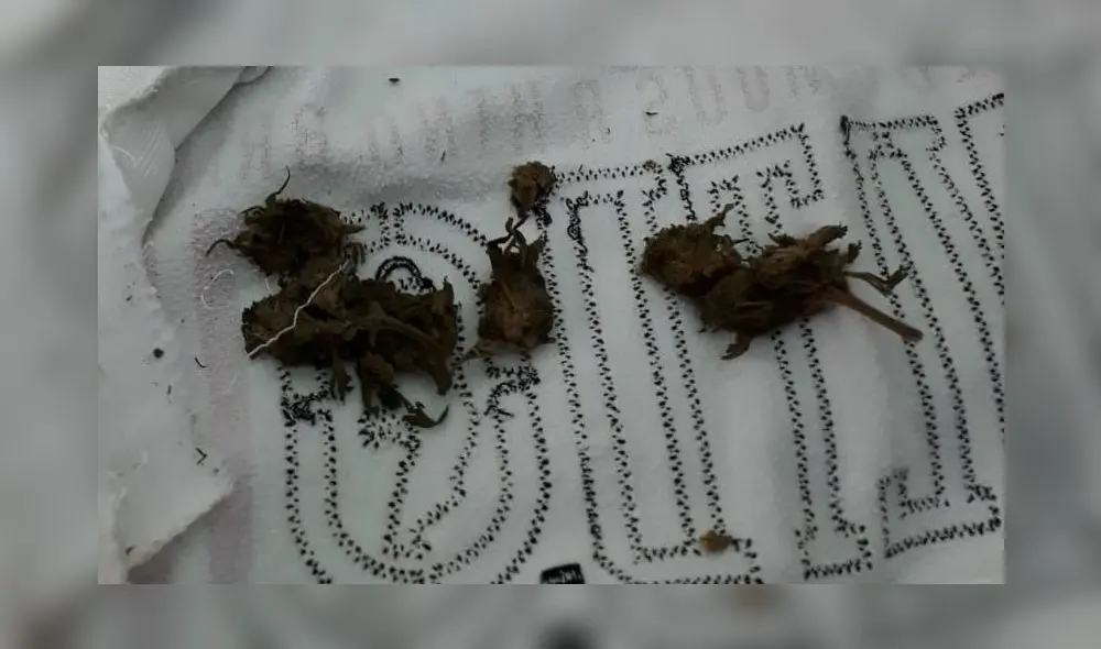 Intervención ocurrió durante la revisión de paquetes que ingresan al penal. Foto: INPE