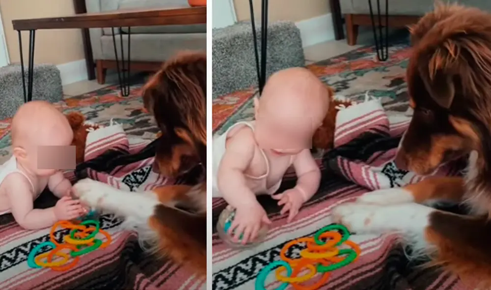 El video viral ha sido compartido en el canal BVIRAL. Foto: captura de YouTube