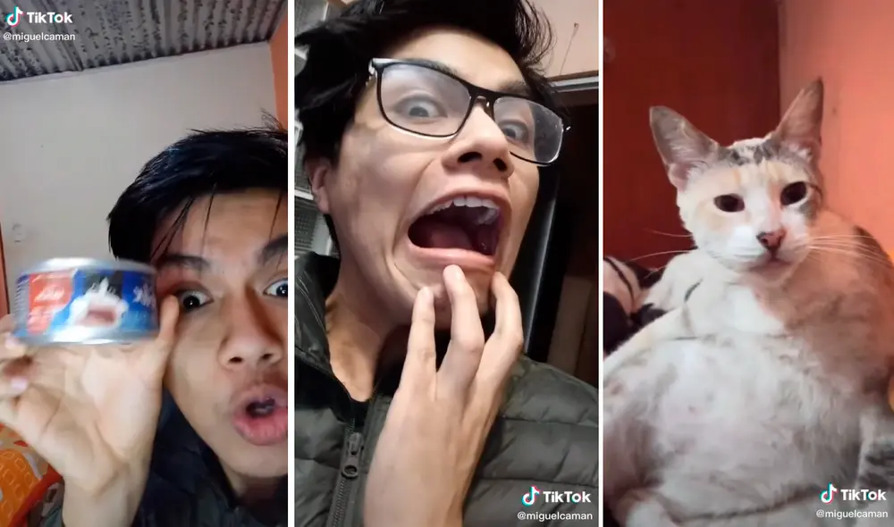 El joven contó su terrible experiencia al comer espaguetis preparados con comida para gatos. Foto: captura de TikTok