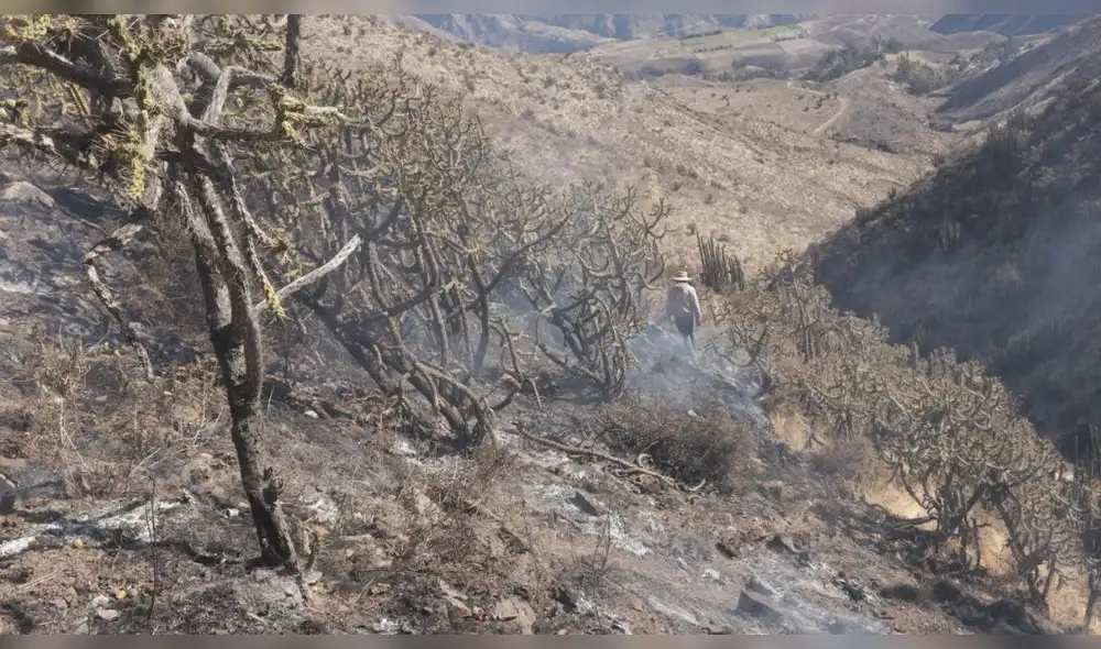 Para controlar el fuego, tuvieron que formarse grupos compuestos por comuneros y agentes de la Policía. Foto: difusión