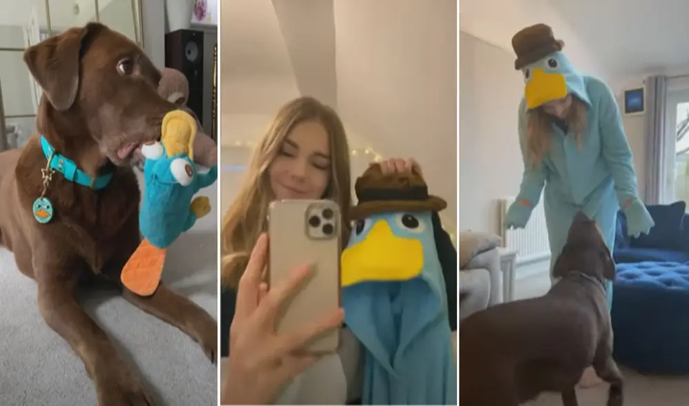 Miles de usuarios quedaron cautivados con esta curiosa escena. Foto: captura de YouTube Miles de usuarios quedaron cautivados con esta curiosa escena. Foto: captura de YouTube