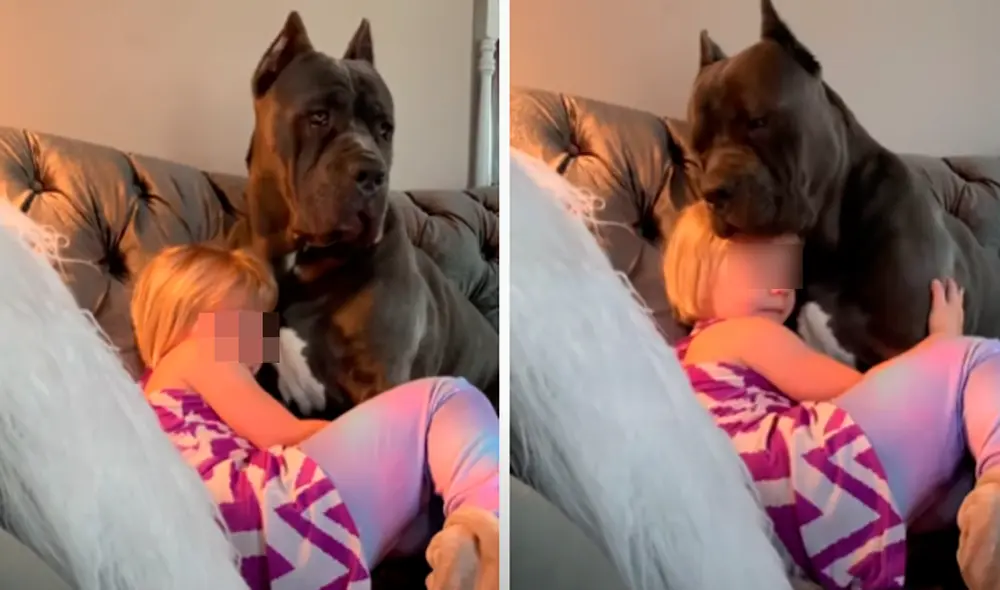 El video viral ha sido compartido en la cuenta melvosel. Foto: captura de Facebook