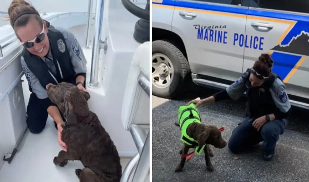 Este rescate llamó la atención en las redes sociales. Foto: captura de Facebook Este rescate llamó la atención en las redes sociales. Foto: captura de Facebook
