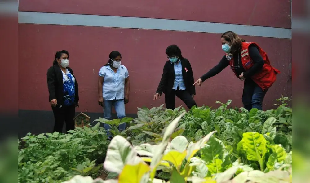 Qali Warma impulsa proyectos en comunidades. Foto: Qali Warma