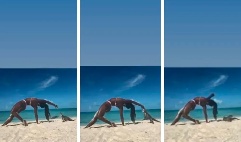 La joven realizaba estiramientos cuando el animal se acercó y le mordió el dedo. Foto: captura de Facebook La joven realizaba estiramientos cuando el animal se acercó y le mordió el dedo. Foto: captura de Facebook